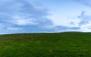 grass and sky