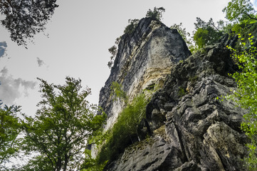 woods and sandstone rocks