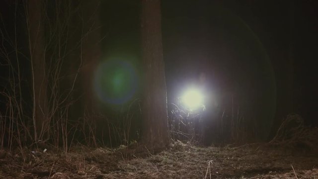 girl runs through a dark forest with a lantern