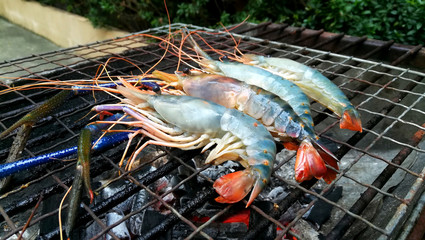 closeup fresh grilled prawn on grille