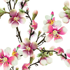 Apple tree flowers Illustration. Watercolor seamless pattern.