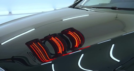 Red ceramic lamps, black auto, car workshop car wash machines.