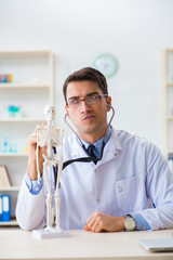 Doctor student studying the bones of skeleton