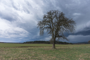 Landschaft im Frühling