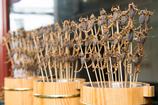Grill and fried scorpions on stick from Wangfujing street at Beijing, China
