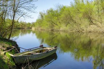 Naklejka na ściany i meble Old boat near the shore in the forest river