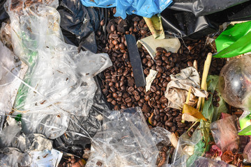 Older rotten coffee beans were dropped into the garbage because they could not be eaten.