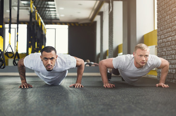 Two men fitness workout, push ups or plank