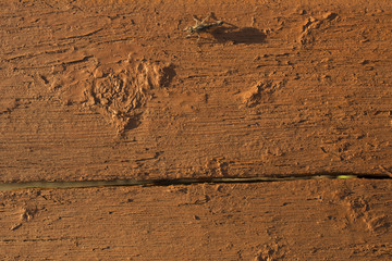 Wooden texture. Old board. Peeling paint.