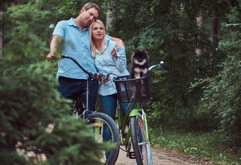 An attractive couple of a blonde female and man dressed in casual clothes on a bicycle ride with their cute little spitz in a bicycle basket.
