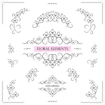 Set of flourish frames, borders, labels. Collection of original floral design elements. Vector calligraphy swirls, swashes, ornate motifs and corners.