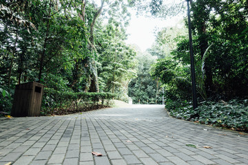 Fototapeta premium Road in the park