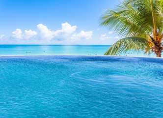 piscine tropicale bleue à débordement 