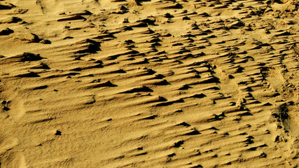 砂丘の砂模様
