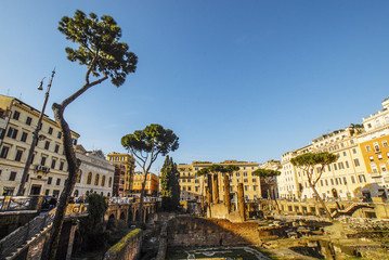 ROMA, ROME, Foro Romano, Rome, Italy