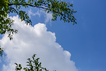 Blue sky and clouds, Japan