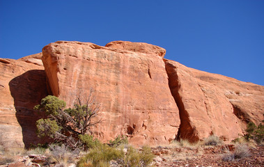 Fototapeta premium Red rock cliffs in the canyon country of the Bears ears area of Southern Utah in the desert badlands of Bisti De Na Zin In Notthern New Mexico