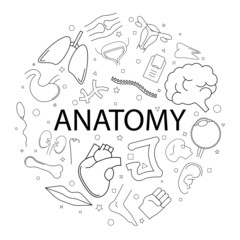 Vector anatomy pattern with word. Anatomy background