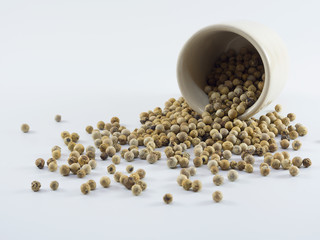 white peppers on the white background.