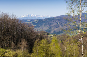 Spring mountain landscape. In the higher parts of the mountains the fight of winter with spring. The lower spring is already dominating.