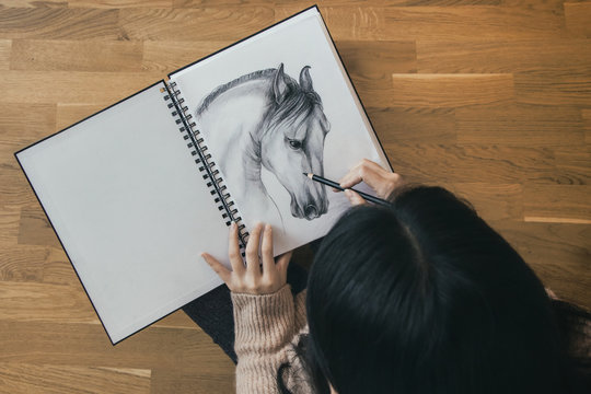 female artist drawing a horse on sketch book
