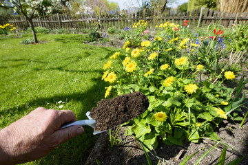  Kompost - Naturdünger auf der Schaufel - Gartenarbeit