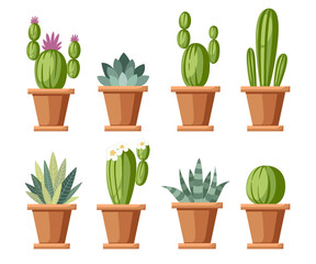 Set of flower and decorative cactus. Home plants cactus in pots and with flowers. A variety of decorative floral. Cartoon style design. Vector illustration isolated on white background