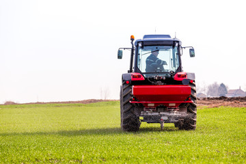 Fototapeta premium Farmer in tractor fertilizing wheat field at spring with npk