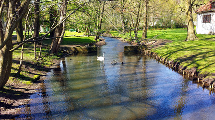 Fototapeta na wymiar Small river in the park.
