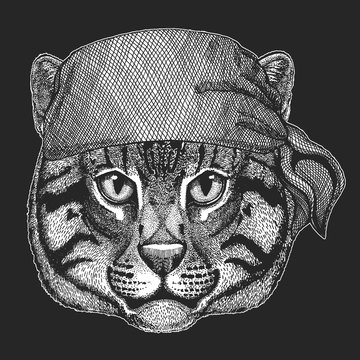 Wild cat Fishing cat Cool pirate, seaman, seawolf, sailor, biker animal for tattoo, t-shirt, emblem, badge, logo, patch. Image with motorcycle bandana