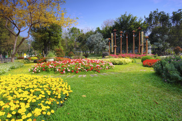 Plakat Flower garden in summer