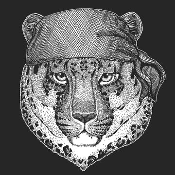 Wild cat Leopard Cat-o'-mountain Panther Cool pirate, seaman, seawolf, sailor, biker animal for tattoo, t-shirt, emblem, badge, logo, patch. Image with motorcycle bandana