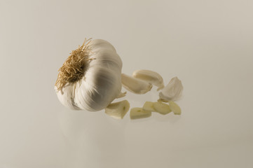Fresh garlic isolated