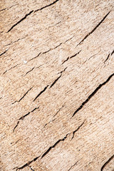 Holzstrucktur (Sägerau)