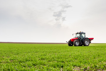 Farmer in tractor fertilizing wheat field at spring with npk