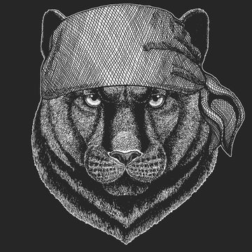 Panther Puma Cougar Wild cat Cool pirate, seaman, seawolf, sailor, biker animal for tattoo, t-shirt, emblem, badge, logo, patch. Image with motorcycle bandana