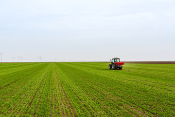 Farmer in tractor fertilizing wheat field at spring with npk