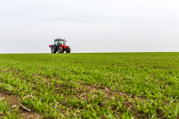 Farmer in tractor fertilizing wheat field at spring with npk