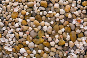 Sea pebbles background, natural seashore stones