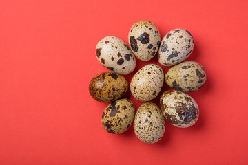 Obraz premium Beautiful spotted fresh quail eggs on a red paper background
