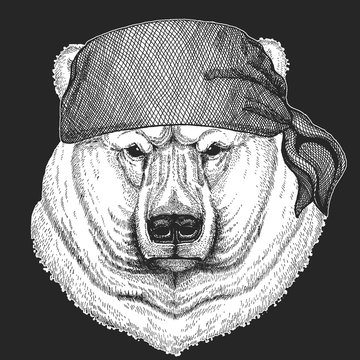 Big white polar bear Cool pirate, seaman, seawolf, sailor, biker animal for tattoo, t-shirt, emblem, badge, logo, patch. Image with motorcycle bandana