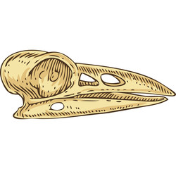 Vector Voodoo Crow Skull