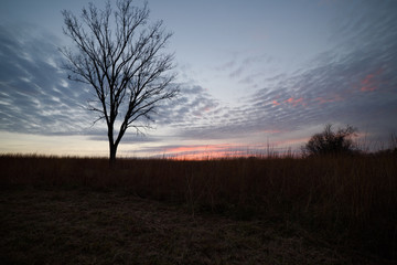 Fototapeta na wymiar Prairie Sunset