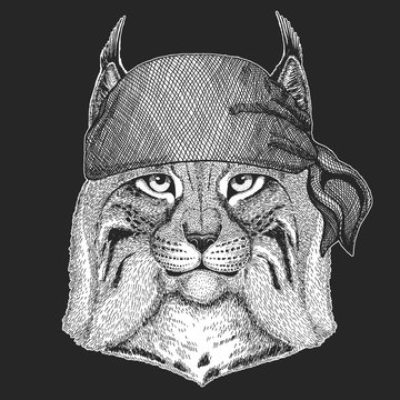 Wild cat Lynx Bobcat Trot Cool pirate, seaman, seawolf, sailor, biker animal for tattoo, t-shirt, emblem, badge, logo, patch. Image with motorcycle bandana