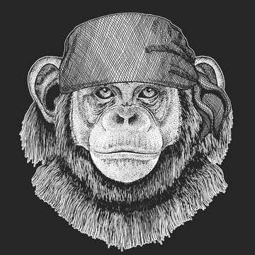 Chimpanzee Monkey Cool pirate, seaman, seawolf, sailor, biker animal for tattoo, t-shirt, emblem, badge, logo, patch. Image with motorcycle bandana