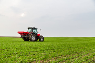 Farmer in tractor fertilizing wheat field at spring with npk