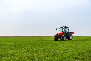 Fototapeta premium Farmer in tractor fertilizing wheat field at spring with npk