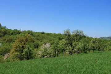 Fototapeta na wymiar Spring lanscape near Sarajevo , Bosnia and Herzegovina