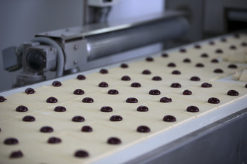 Industrial line for baking cookies. Wholesale professional production of culinary products