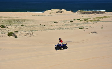 Happy quad bikers driving in sand dunes at Anna bay (Newcastle, NSW, Australia). Active people in outdoor activity driving quad on coastal desert beach.